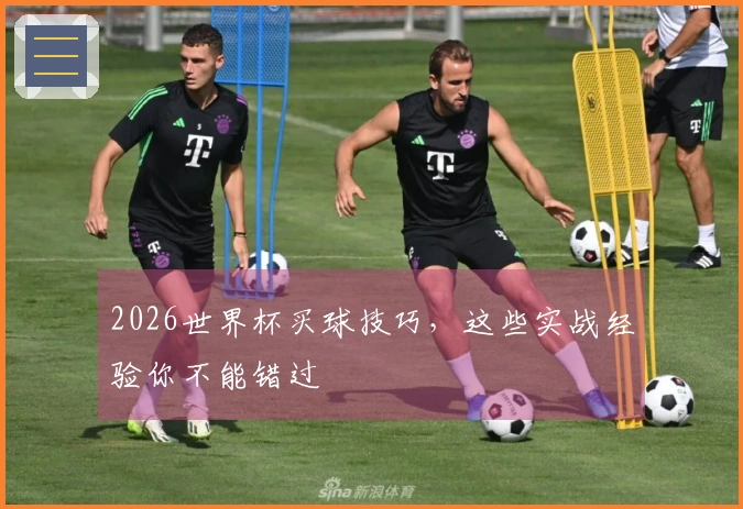 2026世界杯买球技巧，这些实战经验你不能错过