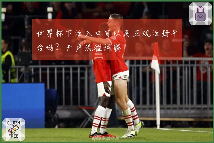 世界杯下注入口可以用正规注册平台吗？开户流程详解