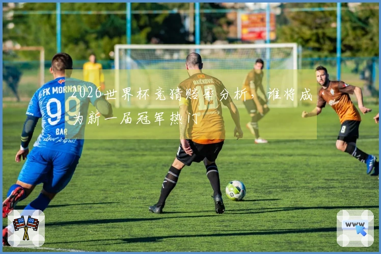2026世界杯竞猜赔率分析，谁将成为新一届冠军热门